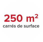 Pictogramme 250 mètres carrés de surface