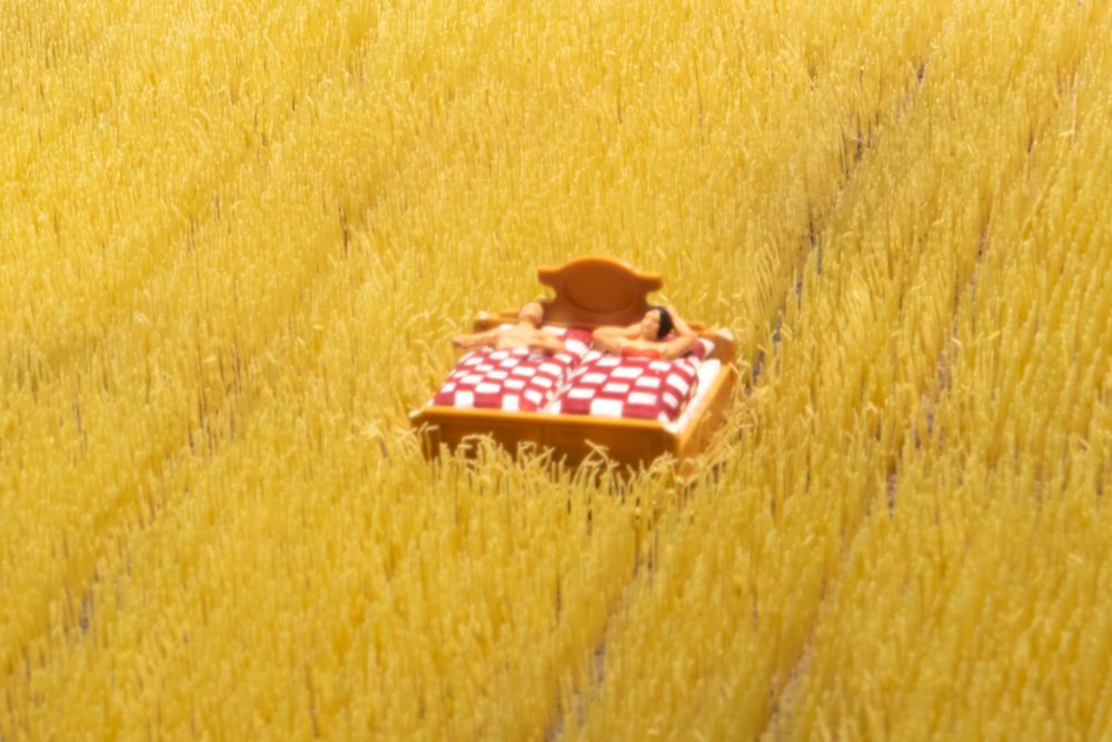 Ein Bett im Kornfeld