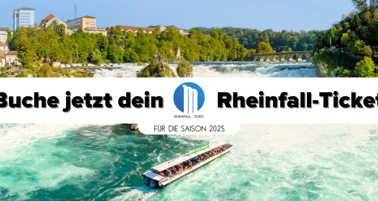 Rheinfall Ticket