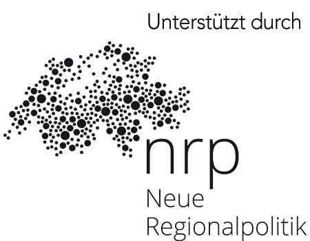 neue regionalpolitik